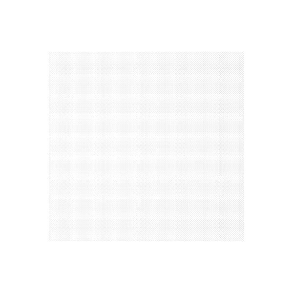 �f���[�^�[�X�N���[�� SE-100 100L5�� (10���p�b�N) �A�~�e��