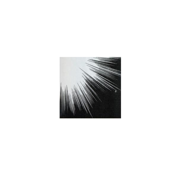 �f���[�^�[�X�N���[�� SE-323