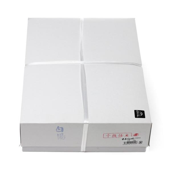 p  333×242mm g 1000 ES010 a p ɂ݂