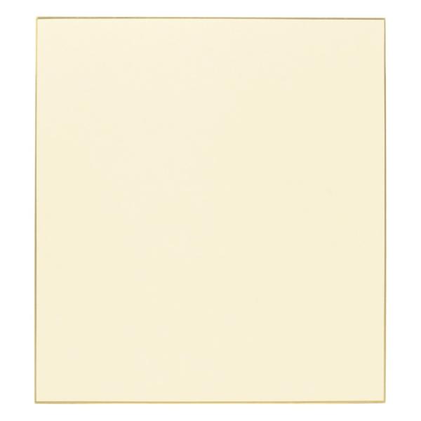 F 񂹏 F ̎q @B̎q (10pbN) 싅ITbJ[IɃTCႤFɂ߁I