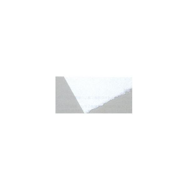 アルシュ88 版画 シルクスクリーン用紙 300g/m2 中判 560×760mm : zk