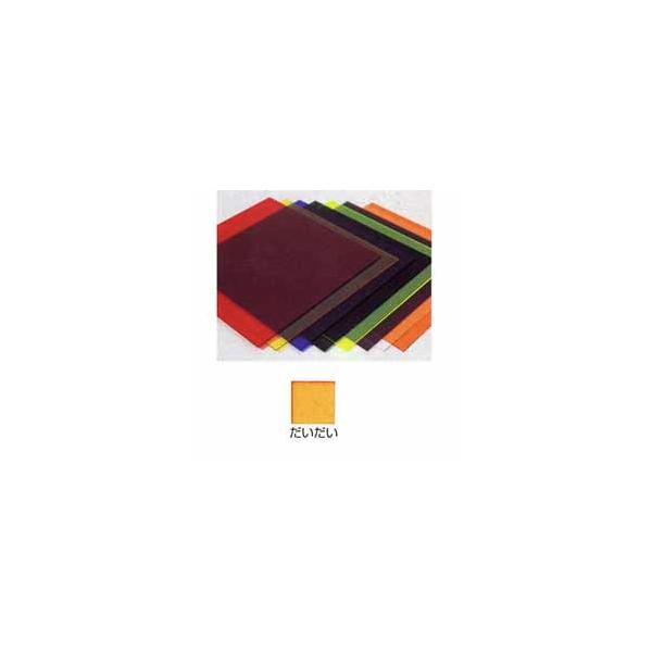 �������^�A�N������ �� (30×30cm×2mm��) ��������