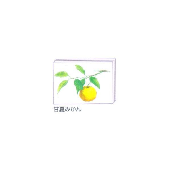 hG hG }t̉ʕ ÉĂ݂