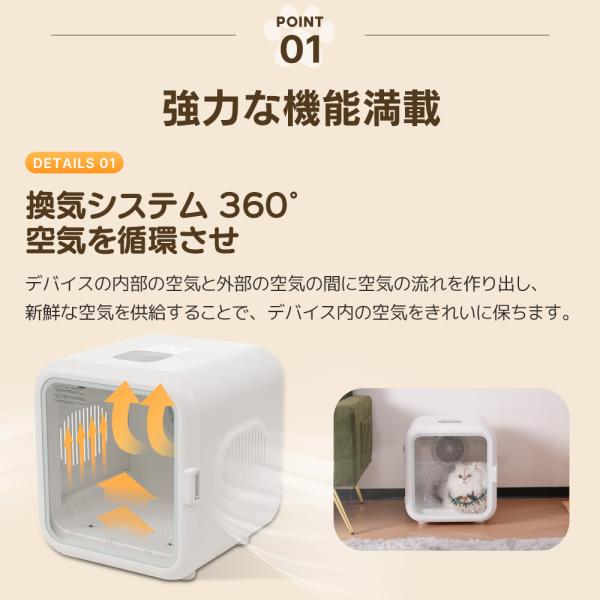 yumeka_es311048-1_2_d_20241001194406