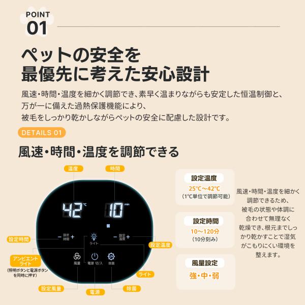 yumeka_n508p435870_4_d_20260206175234