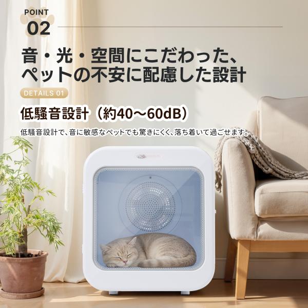 yumeka_n508p435870_6_d_20260206175237