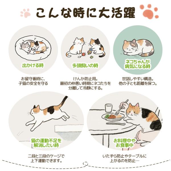 yumeka_tx294088_1_d_20251112185733