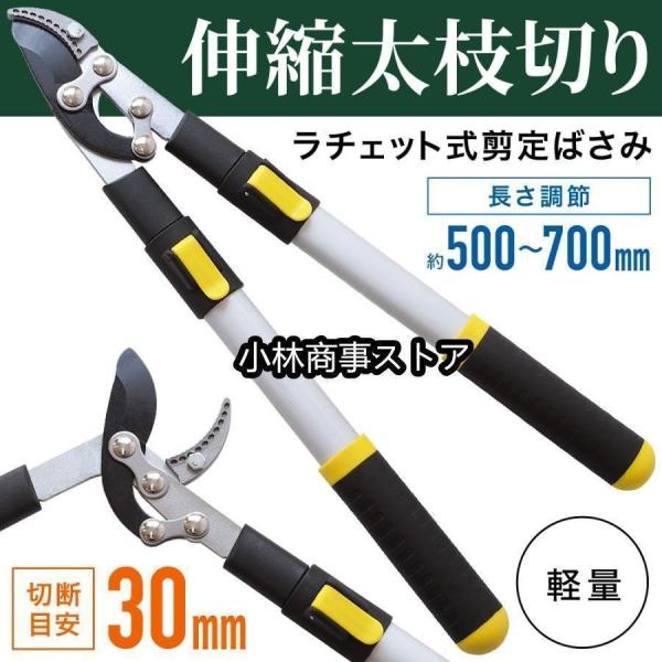 高枝切りバサミ 軽量 伸縮 剪定ばさみ 枝切り鋏 高枝切り鋏 ラチェット式 剪定鋏 太枝切り鋏 高枝切 枝切り鋏 枝きりはさみ 枝切りバサミ 高枝 鋏