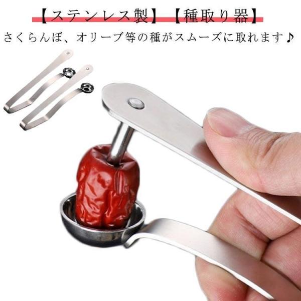 【最新型】種取り 器 ステンレス製 オリーブ チェリーピッター サクランボ さくらんぼの種取り器 梅の種取り器 核除去 たね取り 種とり チェリーの種