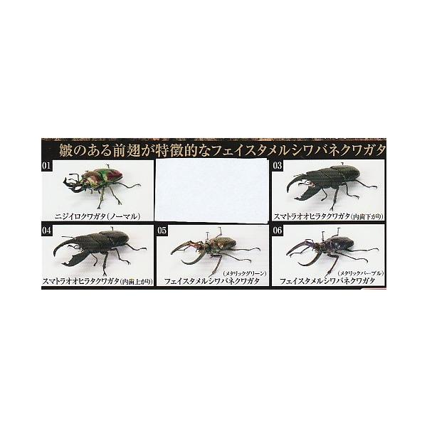 いきもの大図鑑 くわがた10 5種セット : ガチャポンの山 - 通販