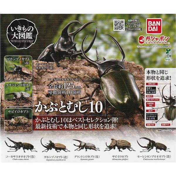 いきもの大図鑑 かぶとむし10 全5種セット : ガチャポンの山 - 通販