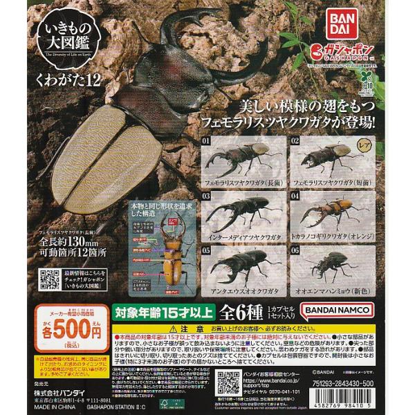 いきもの大図鑑 くわがた12 全6種セット