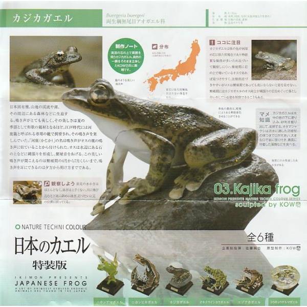 ネイチャーテクニカラー日本のカエル 特装版 カジカガエル1種単品 いき