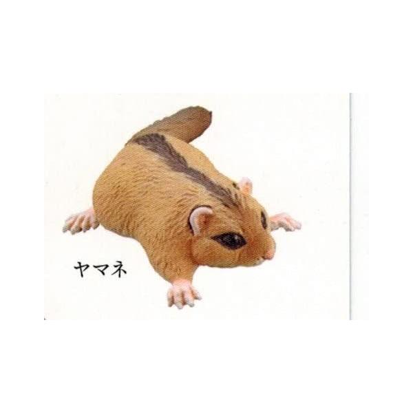 カプセルQ 日本の動物コレクション8 日本アルプス 雷鳥が棲む岳 ヤマネ