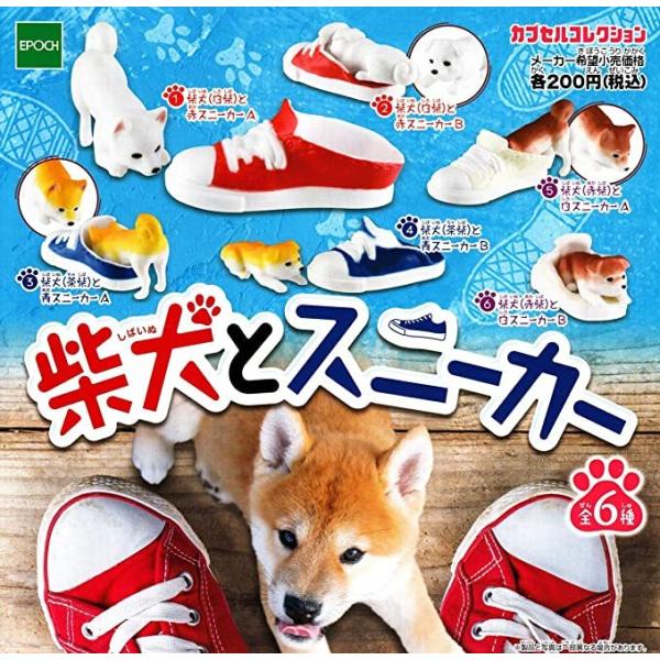 柴犬とスニーカー 全6種セット カプセルコレクション : ガチャポンの山