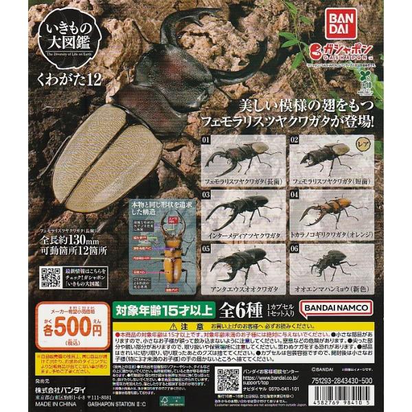 いきもの大図鑑 くわがた12 【台紙】POP : ガチャポンの山 - 通販