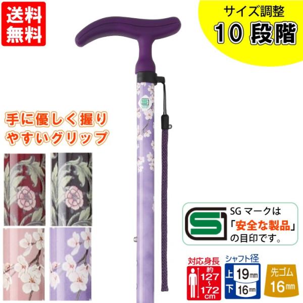 ANeBuO[X LkS  Lk y   S Xgbvt ̓ ̓