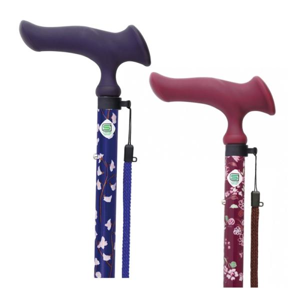 邪t@2 Lk   ~ z o  k