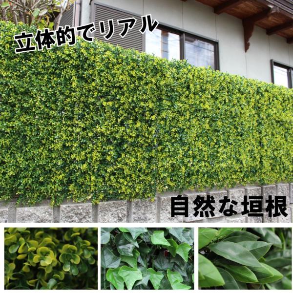 リアルグリーンフェンス 約1m×1m 緑のカーテン 目隠し ベランダ リアルグリーンフェンス 約1m×1m 緑のカーテン 目隠し ベランダ