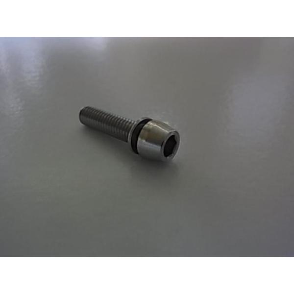 ・錆びにくいステンレス製ボルト。ステムなどの使用に適しています。・サイズ：M5x20mm。ネジピッチ：0.8mm。重量：6g。ワッシャー付属。