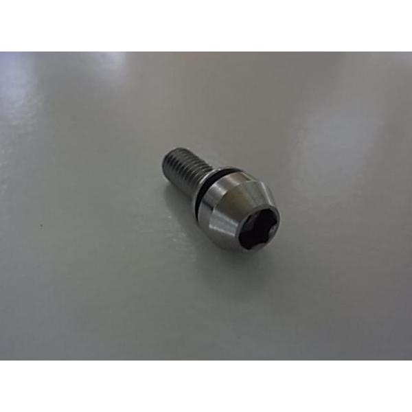 ・錆びにくいステンレス製ボルト。ステムなどの使用に適しています。・サイズ：M6x16mm。ネジピッチ：1.0mm。重量：5g。ワッシャー付属。