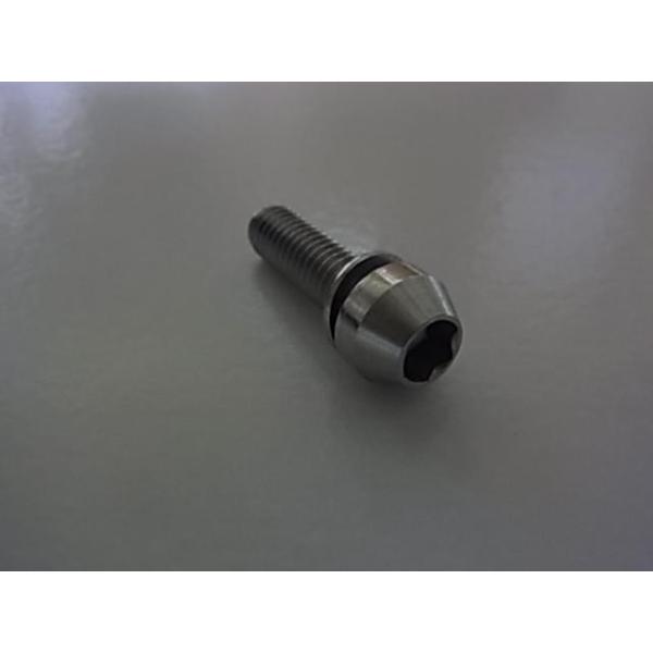 ・錆びにくいステンレス製ボルト。ステムなどの使用に適しています。・サイズ：M6x20mm。ネジピッチ：1.0mm。重量：7g。ワッシャー付属。