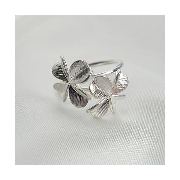 N[o[O/Vo[N[o[O/fB[XO/pO/TCY9`15/nhCh/Blue Cat