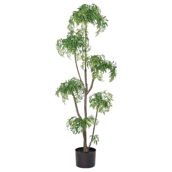 人工観葉植物 アラリア （ポット付き） グリーン 高さ120cm （P295-a50907) （代引き不可）