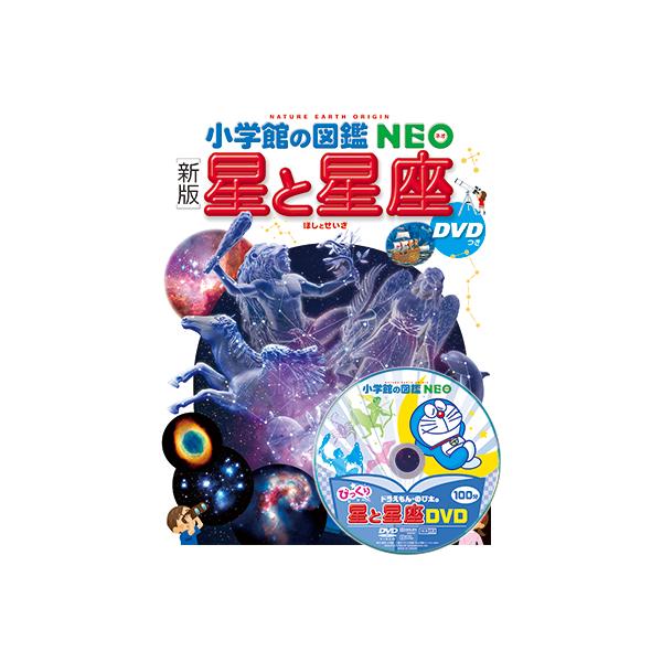 yumetamago_96161_3_d_20240213111706