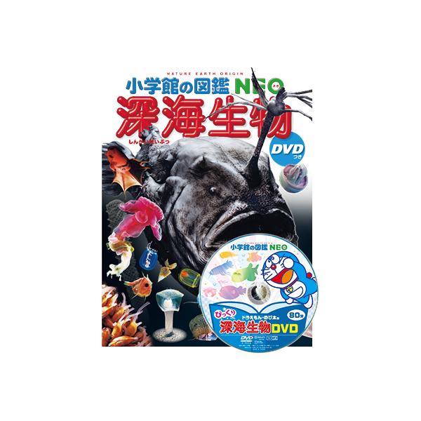 yumetamago_96169_3_d_20240213150722