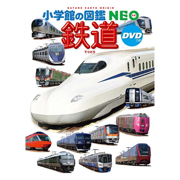 yumetamago_96170_2_d_20240213151151