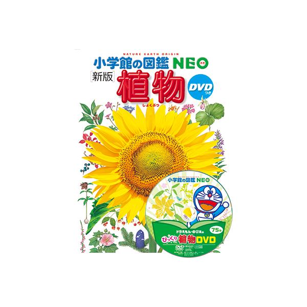 yumetamago_97096_3_d_20240213155011