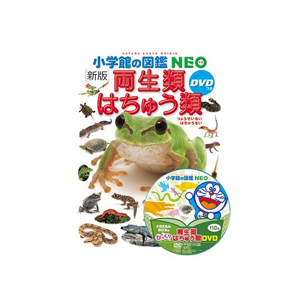 yumetamago_97106_3_d_20240213161344