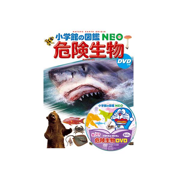 yumetamago_97107_3_d_20240213162001