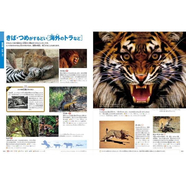 yumetamago_97107_5_d_20240213162017