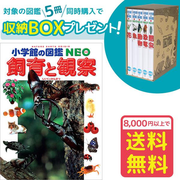 小学館の図鑑NEO 飼育と観察（収納BOX付・送料無料・条件有） : ゆめ