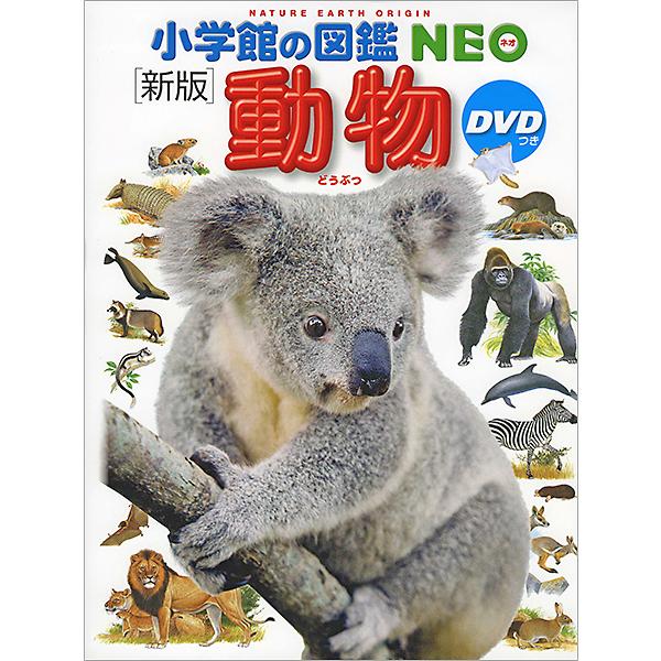 yumetamago_97355_2_d_20240207105010