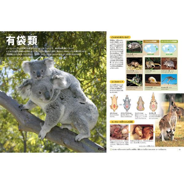 yumetamago_97355_4_d_20240202164256