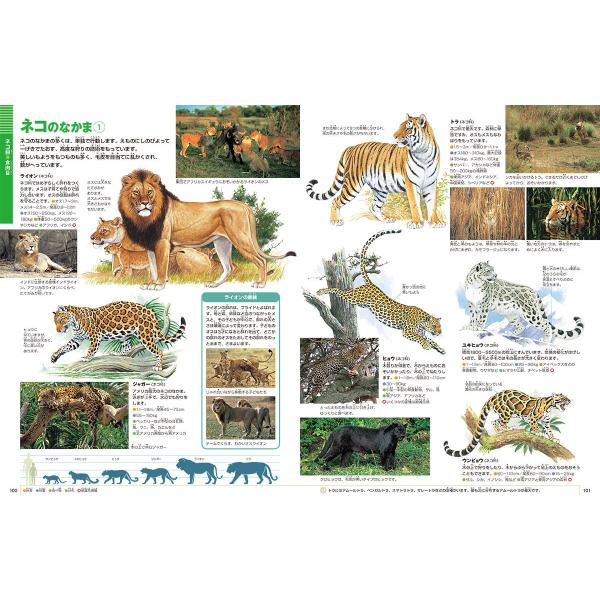 yumetamago_97355_5_d_20240202164303