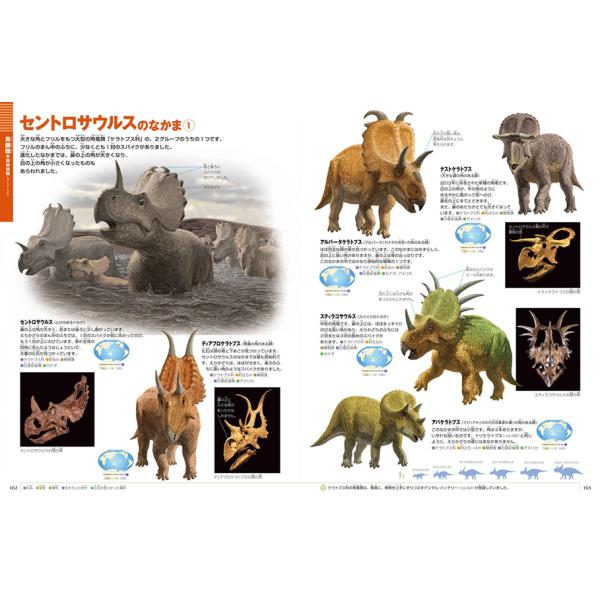 yumetamago_97357_5_d_20240213163756