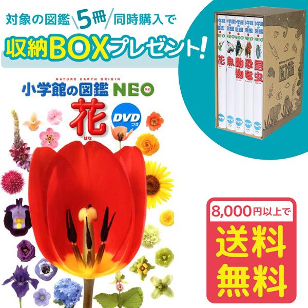小学館の図鑑NEO 花 DVDつき（収納BOX付・送料無料・条件有） : ゆめ