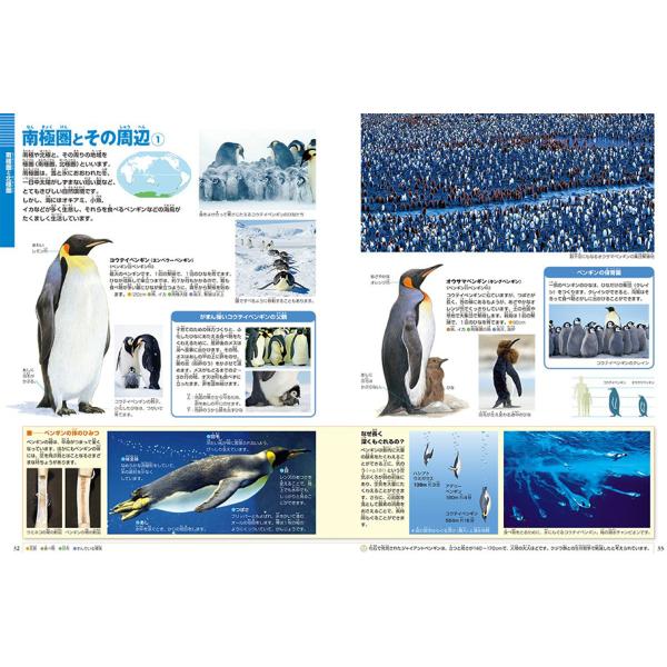 yumetamago_97428_4_d_20240213164733