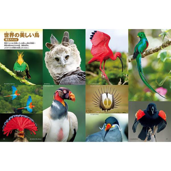 yumetamago_97428_5_d_20240213164739