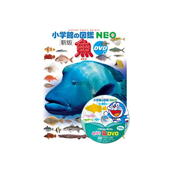 yumetamago_97429_3_d_20240213165125