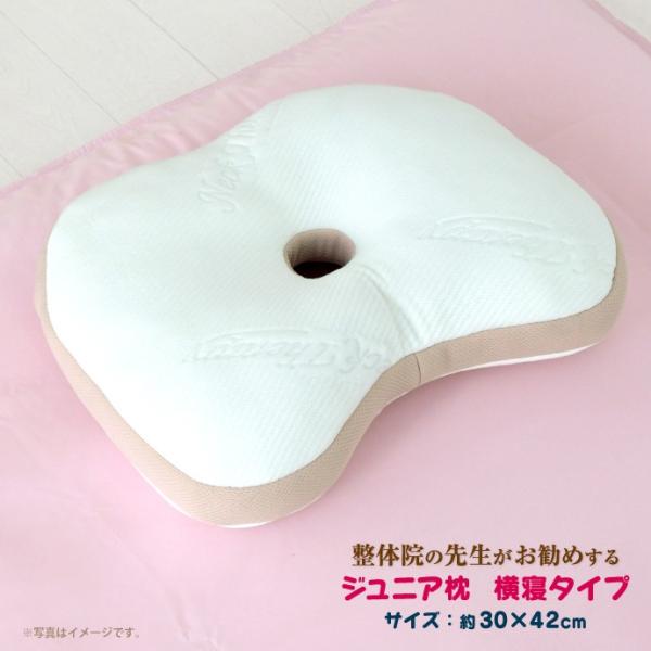  Qp WjA 30×42cm ᔽ E^`bv  ܂  qp ̎t߂鉡Q܂