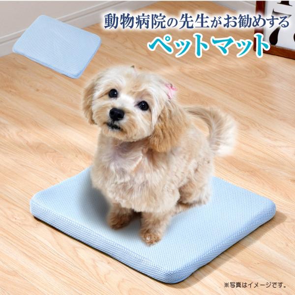 『動物病院の先生がお勧めする　ペットマット』【サイズ　約45×35×3cm】【優れた弾力性の3D樹脂ファイバー】【優れた通気性の3D樹脂ファイバー】【中材は丸ごと水洗い!!】ジャブジャブ洗えていつも清潔!!※中材は洗濯機での使用はお避けくだ...