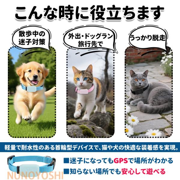 yumicollection_nu374_1_d_20250826155704