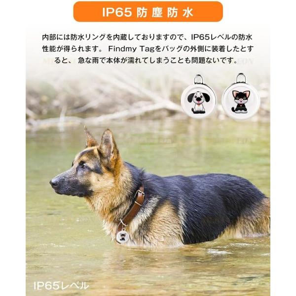 yumicollection_nu454_5_d_20250925122457