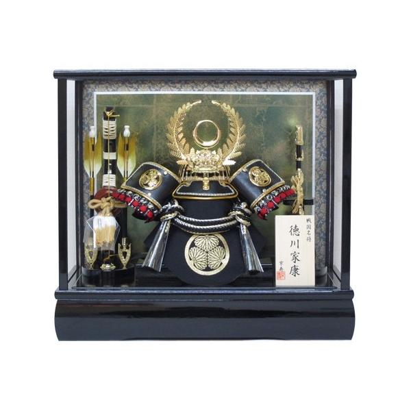 ʐ^ăIS[t12슕P[XYN30117GKC  ܌l`P[XƍN  kabuto-49