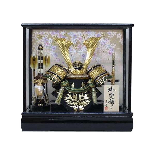 ʐ^ăIS[t 10LpP[X YN50320GKC Ԍ43×s30×41cm ܌l`  P[Xkabuto-49